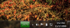 batterybar 2.PNG